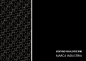 心&手&浪-三角关系-阿根廷政府品牌VI设计-Reynolds [60P] 2/3-平面设计