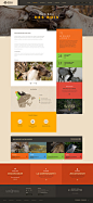 Ecomuseum Montreal : Website for a Zoo - Made at Akufen - Rebranding by Chloé Allard - Art Direction & Web design by Benoit Sourrieu - Web design & Otter animation by Valentin Peslerbe