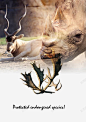 鹿角保护动物犀牛 创意素材