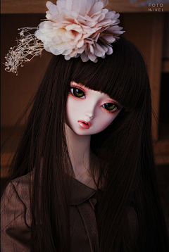 荡れ采集到BJD