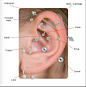 This one shows Cartilage