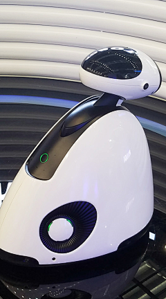 JIA・YI采集到robots