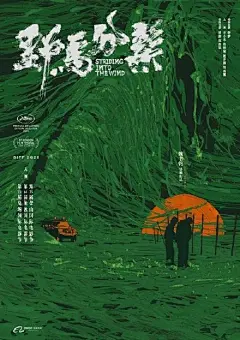 最近贾樟柯导演宣布这届平遥影展可能是团队最后一次做平遥国际电影展，我就想知道以后还能有这样好看的海报吗？ ​​​​