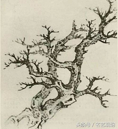 十一幺1采集到国画树