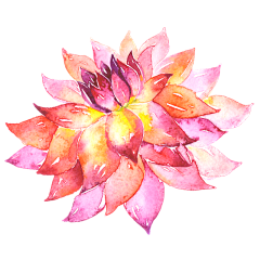 云笛采集到花花草草和小鸟