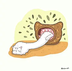 猫咪迷惑行为大赏！这40个猫咪的爆笑瞬间，每一张都是表情包哈哈哈哈 (10)