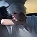 小手冰凉凉ACC