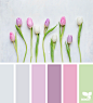 Design Seeds : Design Seeds color palettes ... posted daily for all who love color.