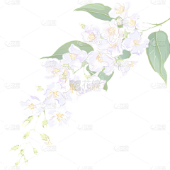兮墨丶采集到蔬菜