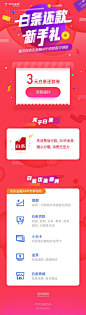 京东白条新手礼