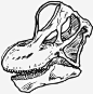 腕龙头骨头骨三角龙 https://88ICON.com 腕龙头骨 头骨 三角龙 恐龙化石 恐龙头骨 动物头骨 古生物学家 古生物学 雷克斯 恐龙头骨cuz dinos r cool