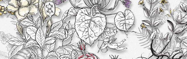 “Diptyque”的图片搜索结果