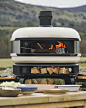 white pizza oven with wood and flame