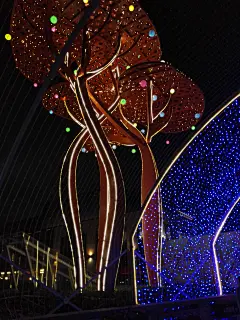 2015深圳 欢乐海岸 灯树