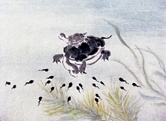 觉喵QAQ采集到pose