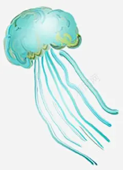 水母高清素材 呆萌 手绘插画 海元素 海蜇 元素 免抠png 设计图片 免费下载 页面网页 平面电商 创意素材