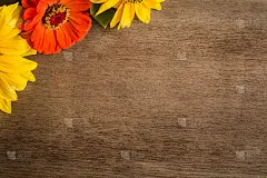 黄色和红色的花放在棕色的木桌上。贺卡或网络背景。文本的空位置。前视图。