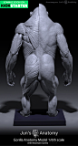 Human & Great Apes Anatomy Models, Jun Huang : Hello everyone,<br/>Thank you for your interest and support in my works.  I have recently launched a new kickstarter campaign, the "Human & Great Apes" series, please feel free to chec