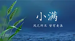 小满节气祝福手绘古风横版海报
