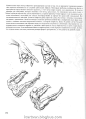 动态素描 人体结构05 - 画师资料库 - 博客大巴