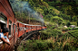 火车旅行原来这么美：斯里兰卡“山地火车”