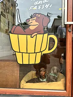 曼谷探店｜通罗Benkoff可爱狗狗咖啡厅