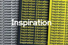 Muge现代时尚潮流粗体潮牌logo电影海报电竞游戏标题英文字体包下载_颜格视觉