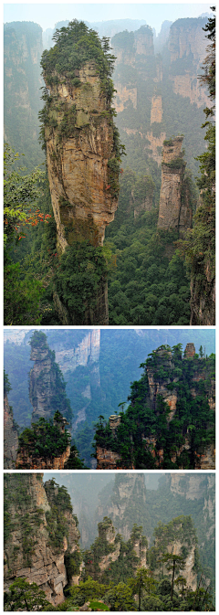 我不能任性采集到风景