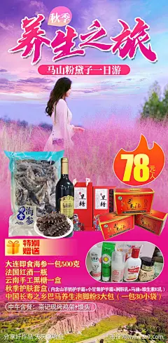 秋季粉黛乱子草海报-源文件-志设网-zs9.com