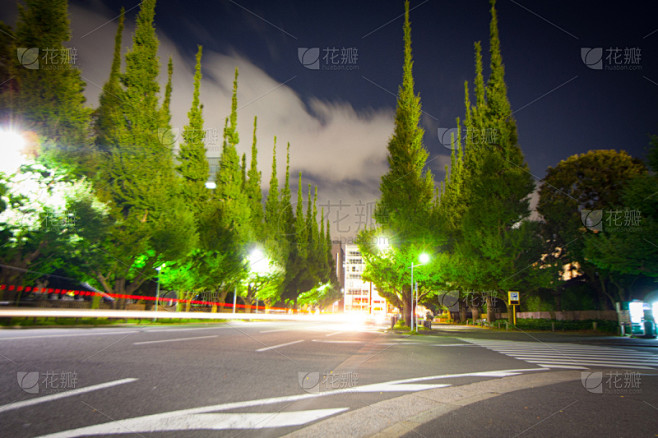 青山,东京,水平画幅,夜晚,交通,夏天,户外,都市风景,沥青,城镇