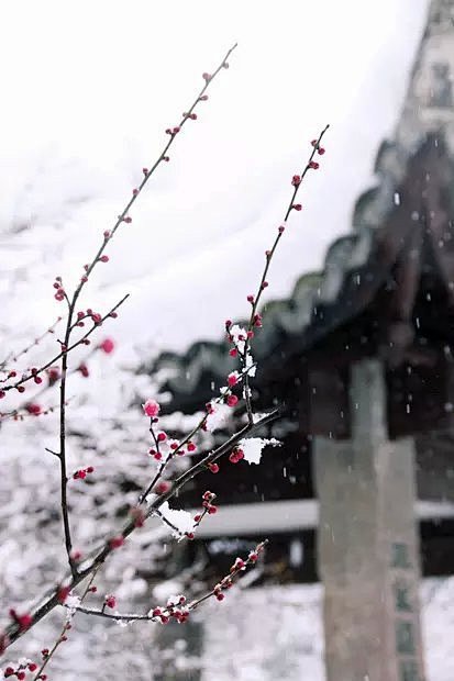 #雪景#