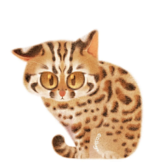 jiaozi饺子采集到猫鼠游戏
