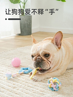 Morii^采集到狗狗