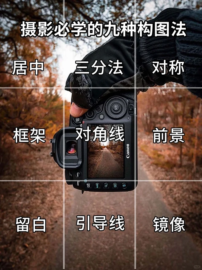 拍照不好看可能是没用对构图｜9个构图技巧