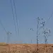 IMG20171226122402