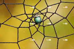 梦捕手 Windows壁纸 酷背景 编织 全高清壁纸 编织的 背景