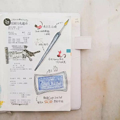 卜萝黑采集到针不戳