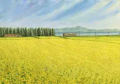 抒情铁路景观，慢行列车之旅，沿途不经意的风景，樱花飞舞的无人车站，塑造出节奏强烈的风景线。来自松本忠的唯美乡村小清新插画作品。