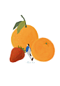 Paco_Yao 原创插画 禁止商用 橙子草莓