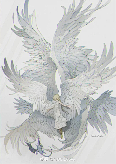 🌜王几🌛采集到羽毛