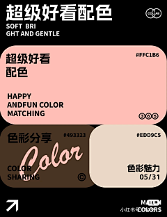 小昊砸采集到参考-配色
