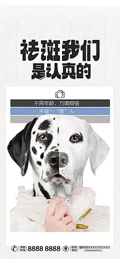【素材能量站】海报 医美 创意 美容 美业 祛斑 对比 狗 斑马|1042651 
