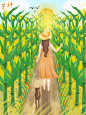 二十四节气芒种小麦少女插画