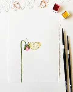 蝶恋花。

ins：_mia_illust ​ ​​​​