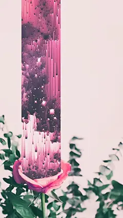 目录｜平面设计
主题｜花的光影
内容｜创意花朵手机壁纸
颜色｜紫色系
艺术家｜Jessica Andersdotter
平面设计设计全球#设计师##美学# ​​​ ​​​​