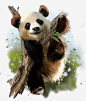 熊猫矢量图 免抠png 设计图片 免费下载 页面网页 平面电商 创意素材