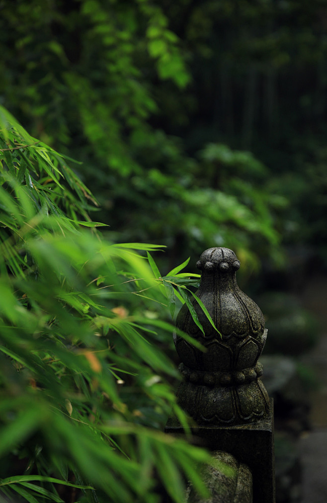 雨中的山寺，花犹自开，水犹自流，在安静的...