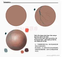 #实用素材# CG动漫人物皮肢的绘画参考，自己借鉴，转需~