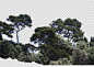 view from France by Gobotree, including cutout plants, tree, vegetation: 