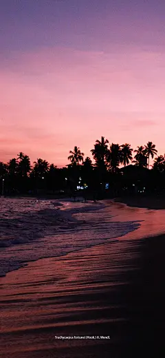 @G195潮流壁紙 的个人主页 - 微博